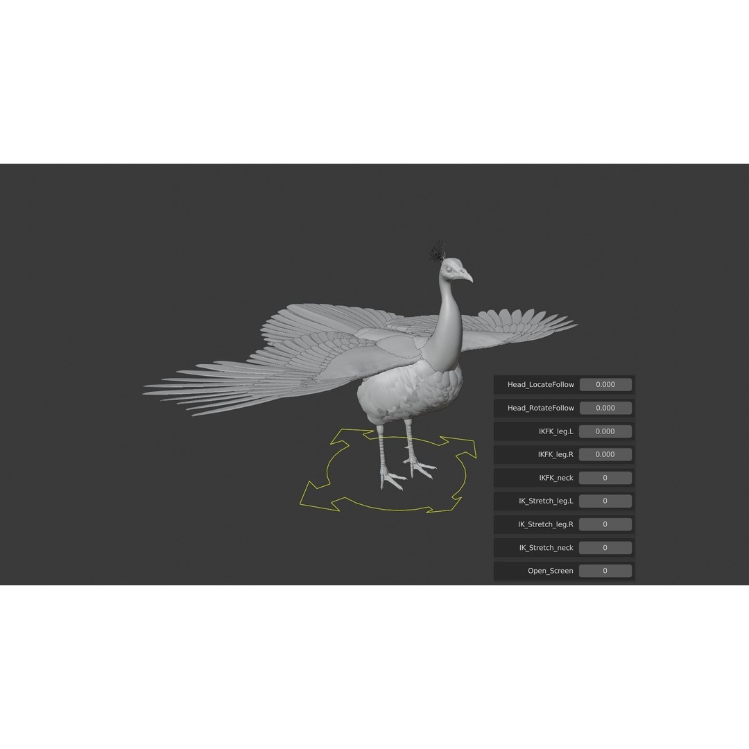 Indian Peafowl 3D Model – Animated Rigged Asset with PBR Textures - View 24