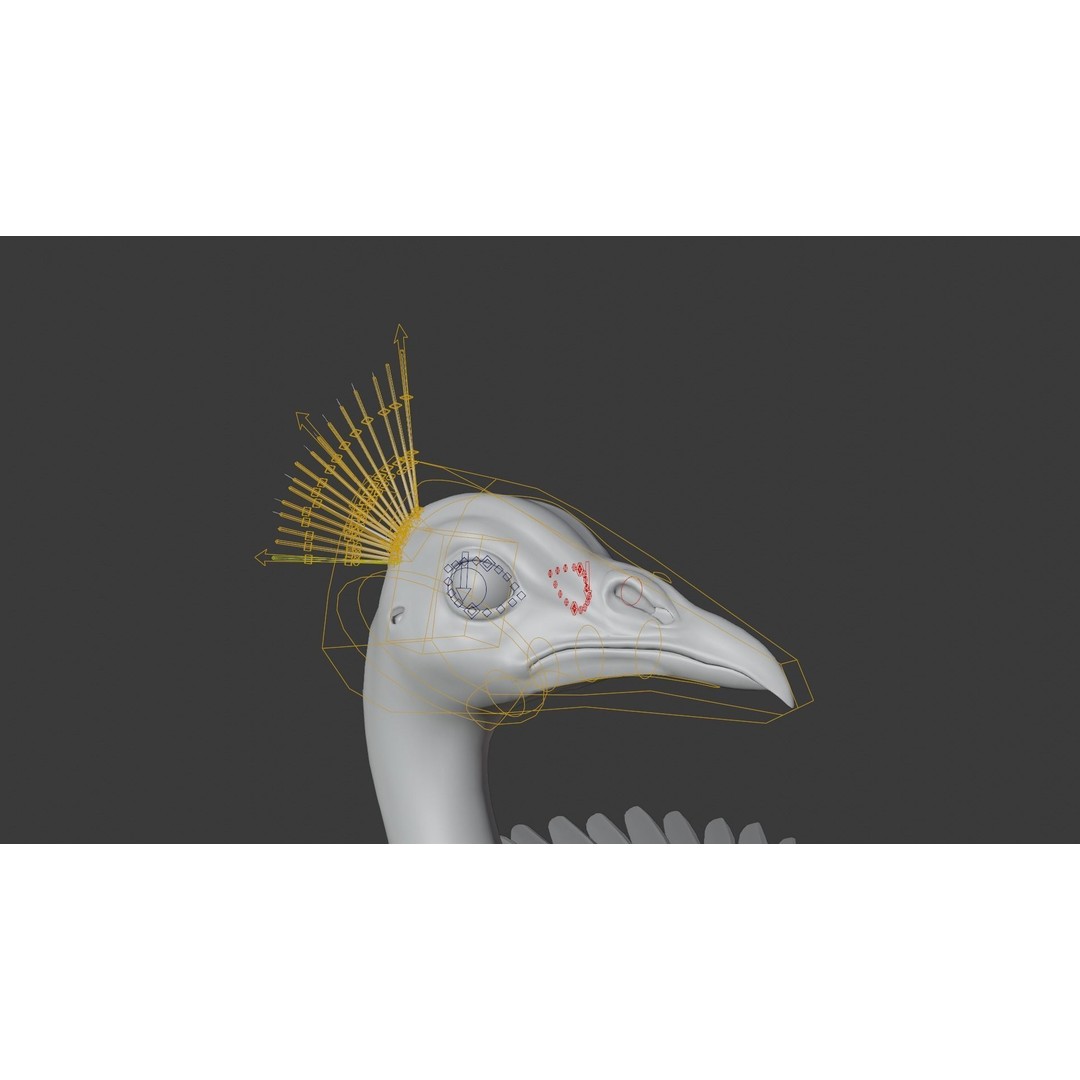 Indian Peafowl 3D Model – Animated Rigged Asset with PBR Textures - View 25