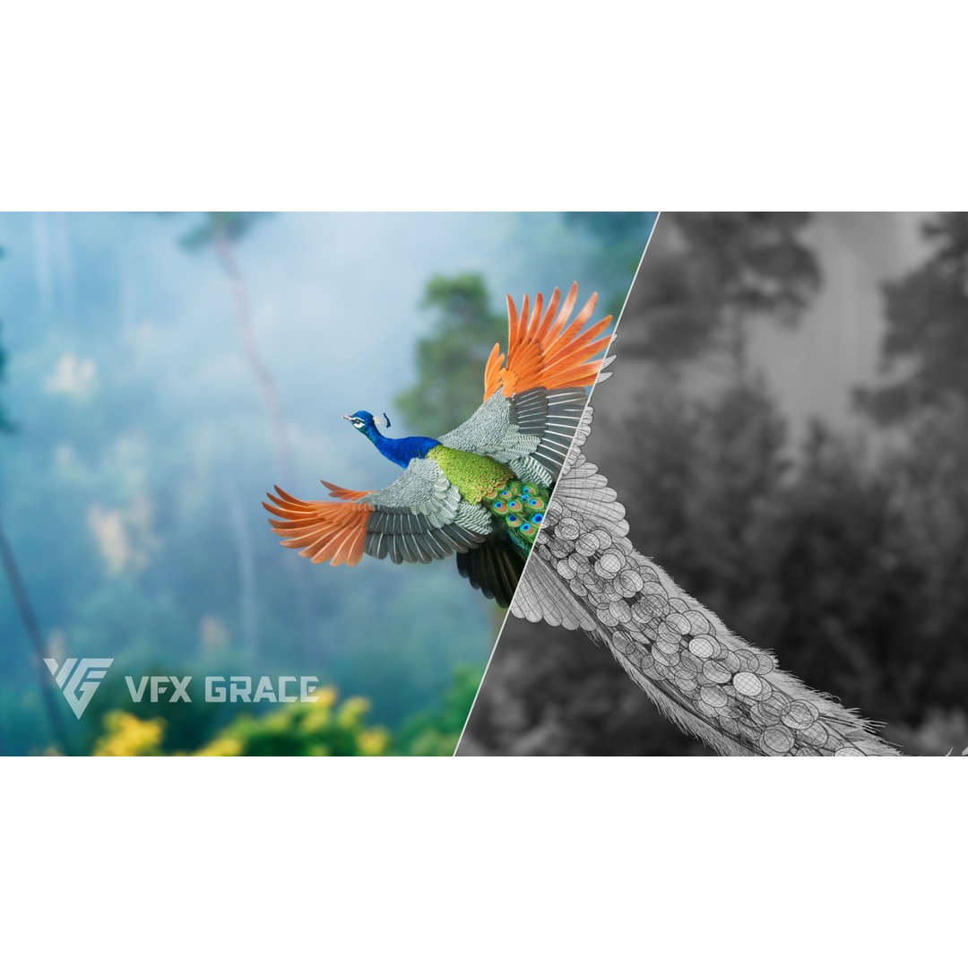 Indian Peafowl 3D Model – Animated Rigged Asset with PBR Textures - View 3