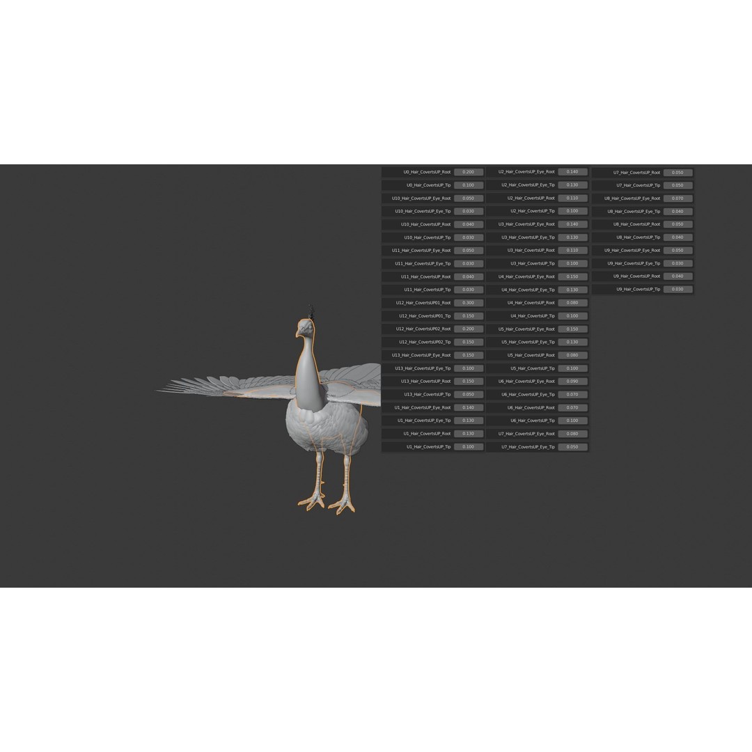 Indian Peafowl 3D Model – Animated Rigged Asset with PBR Textures - View 35