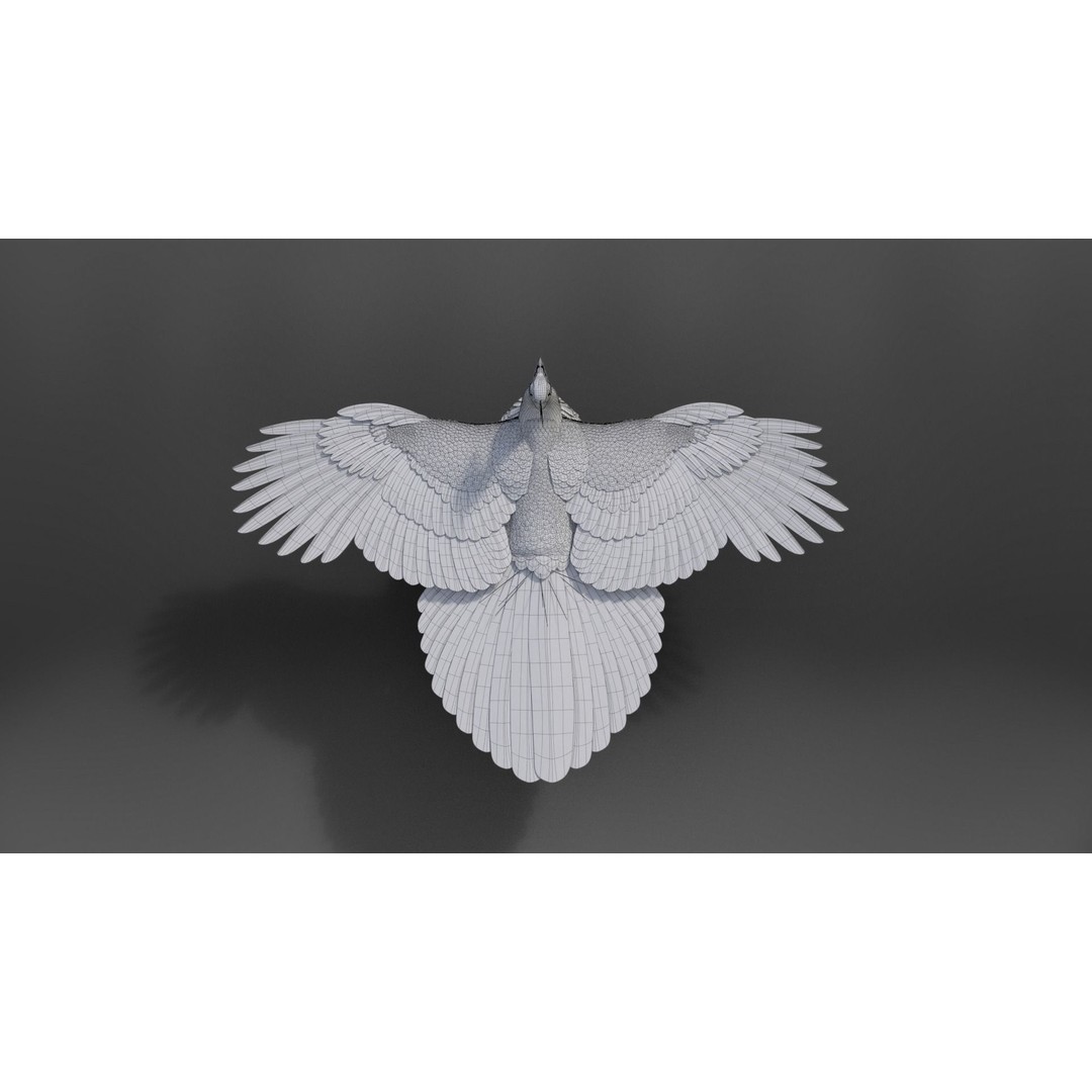 Indian Peafowl 3D Model – Animated Rigged Asset with PBR Textures - View 39