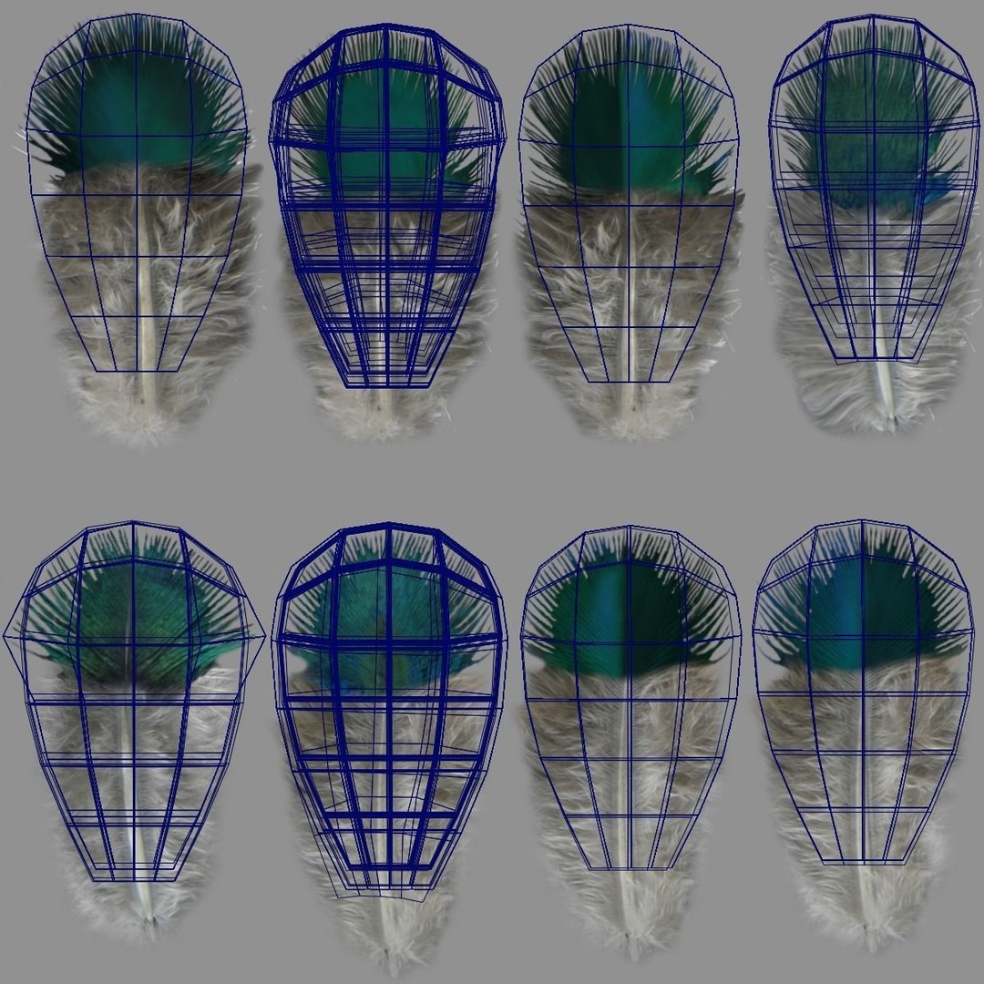 Indian Peafowl 3D Model – Animated Rigged Asset with PBR Textures - View 52