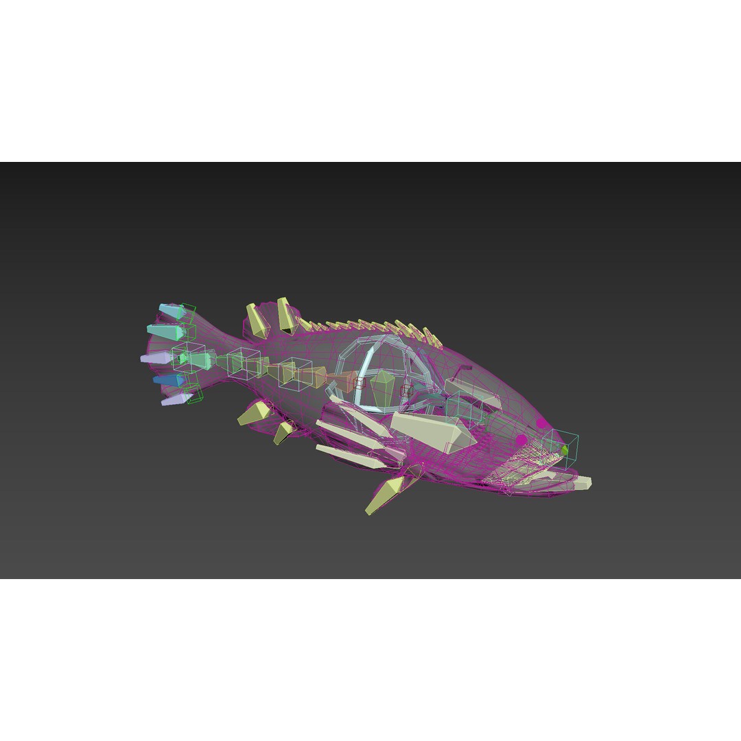 Goliath Grouper 3D Model – Realistic Low Poly Animated Asset, FBX, OBJ - View 15