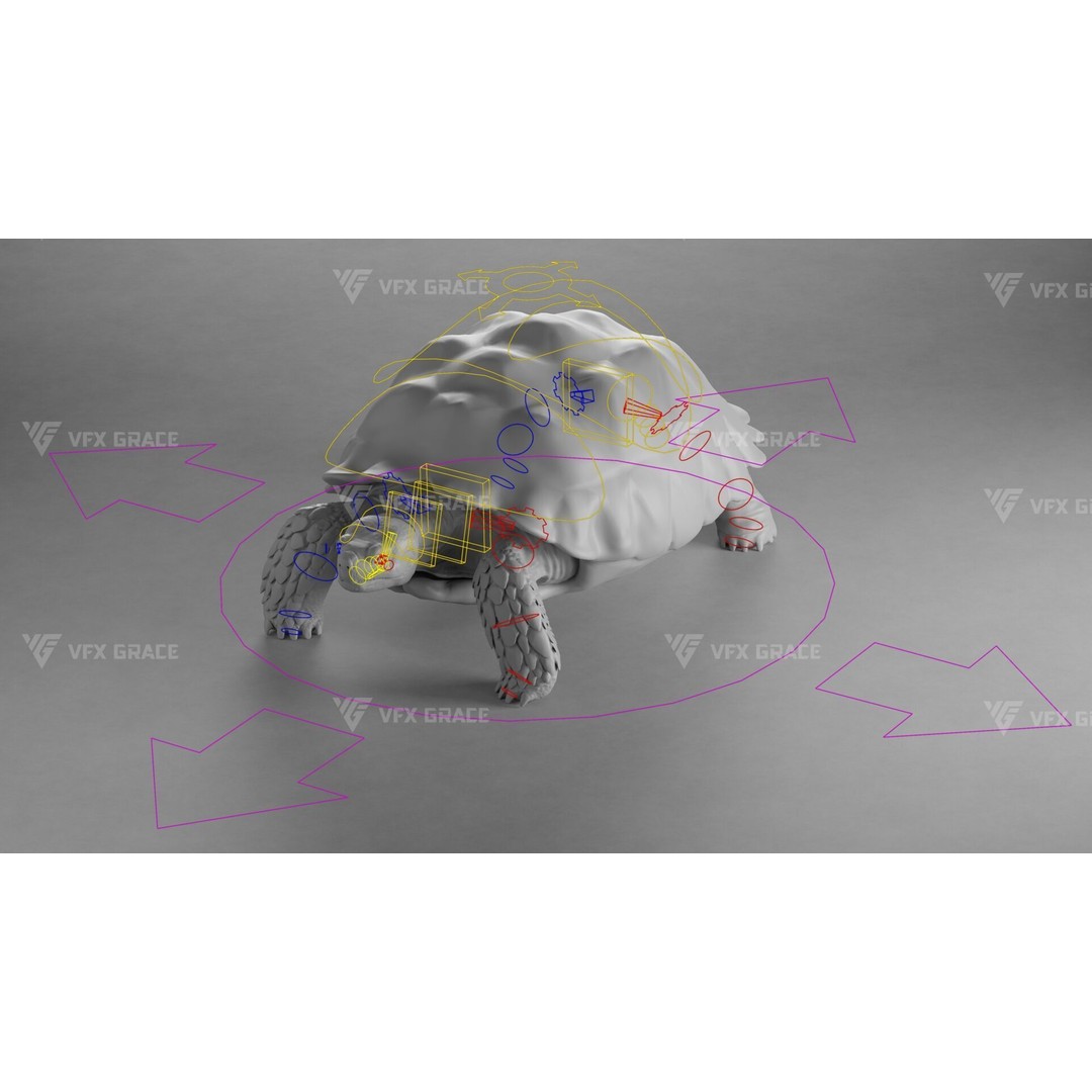 Sulcata Tortoise 3D Model – Rigged with Animation, Blender - View 13