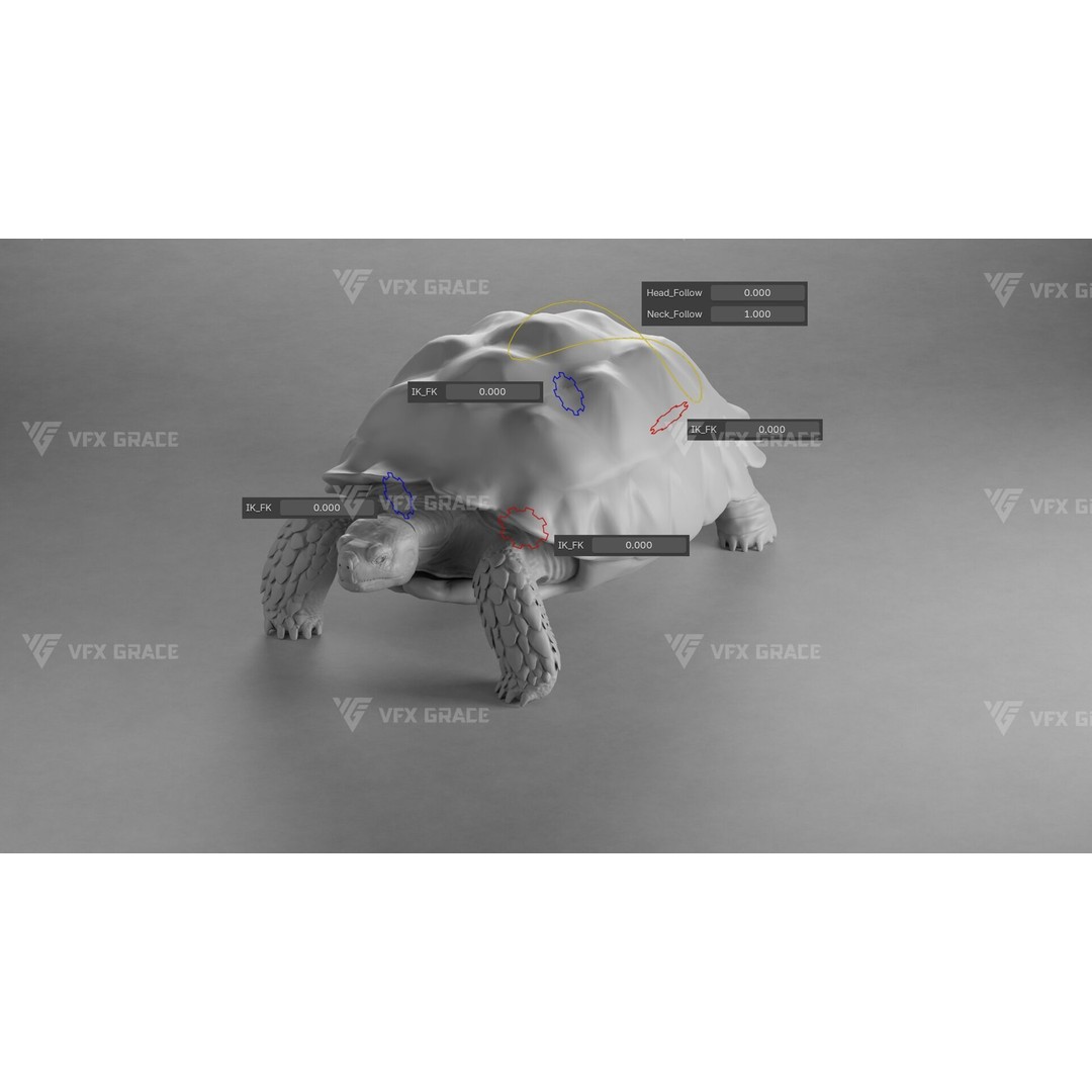 Sulcata Tortoise 3D Model – Rigged with Animation, Blender - View 15
