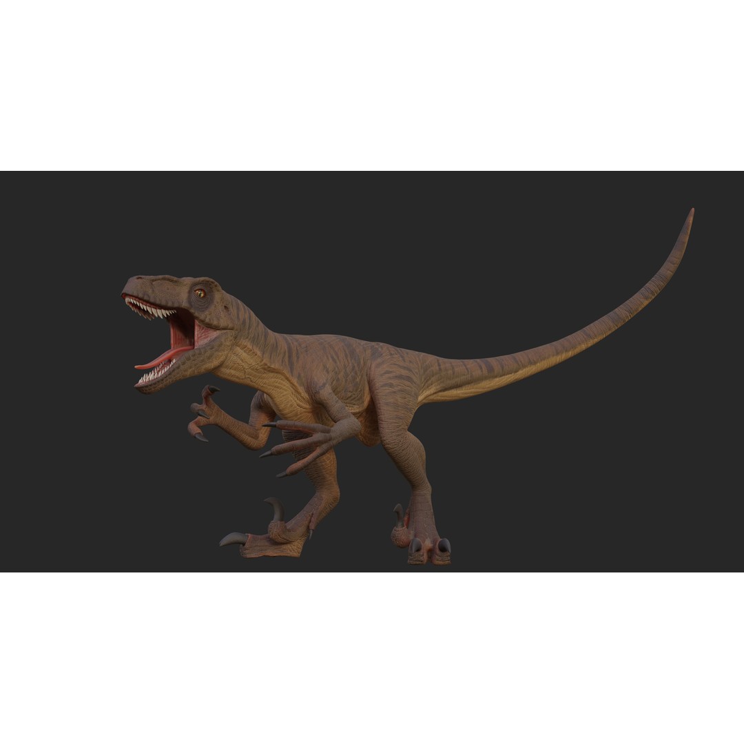 Velociraptor 3D Model – Low Poly Rigged Dinosaur Asset, FBX/OBJ - View 10