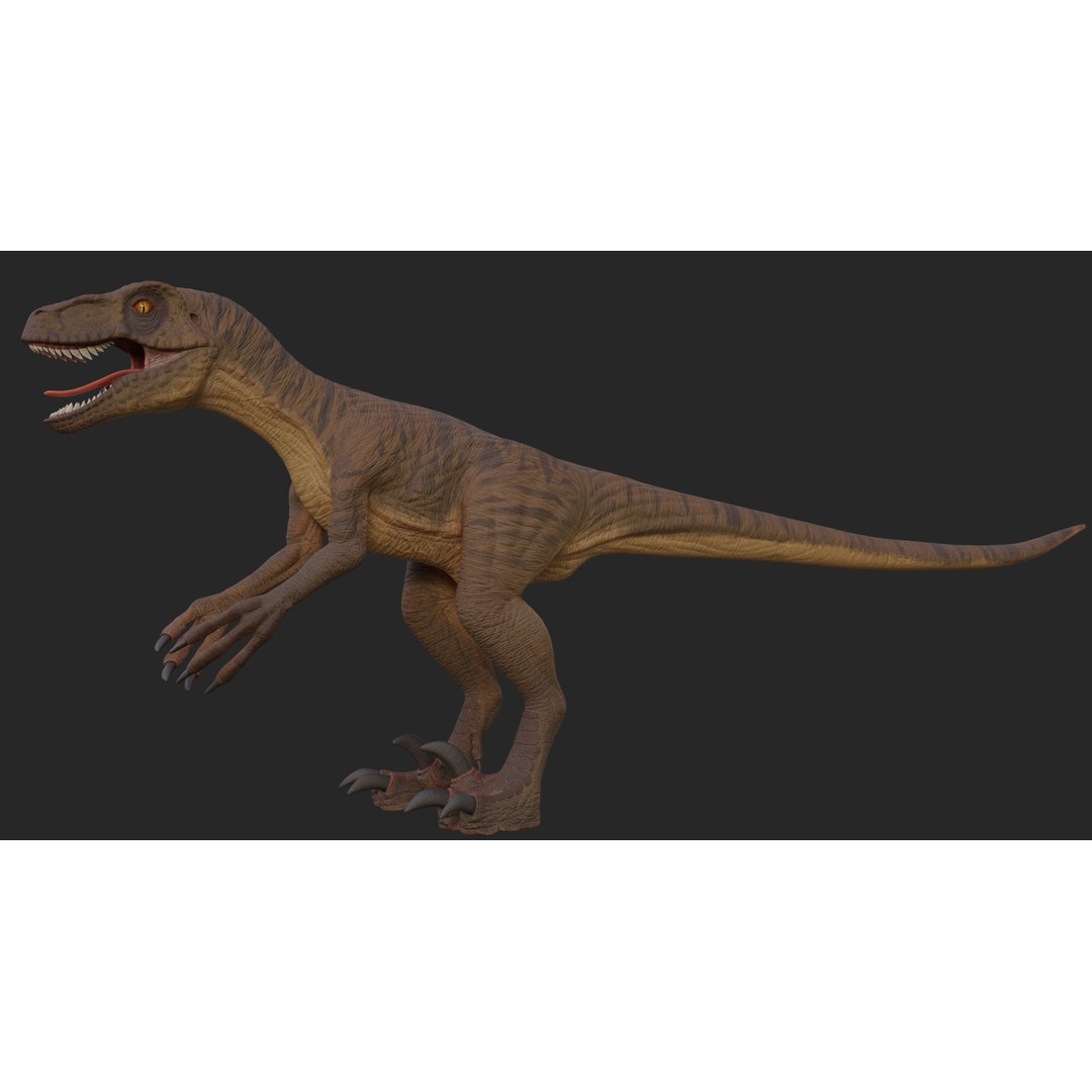 Velociraptor 3D Model – Low Poly Rigged Dinosaur Asset, FBX/OBJ - View 11