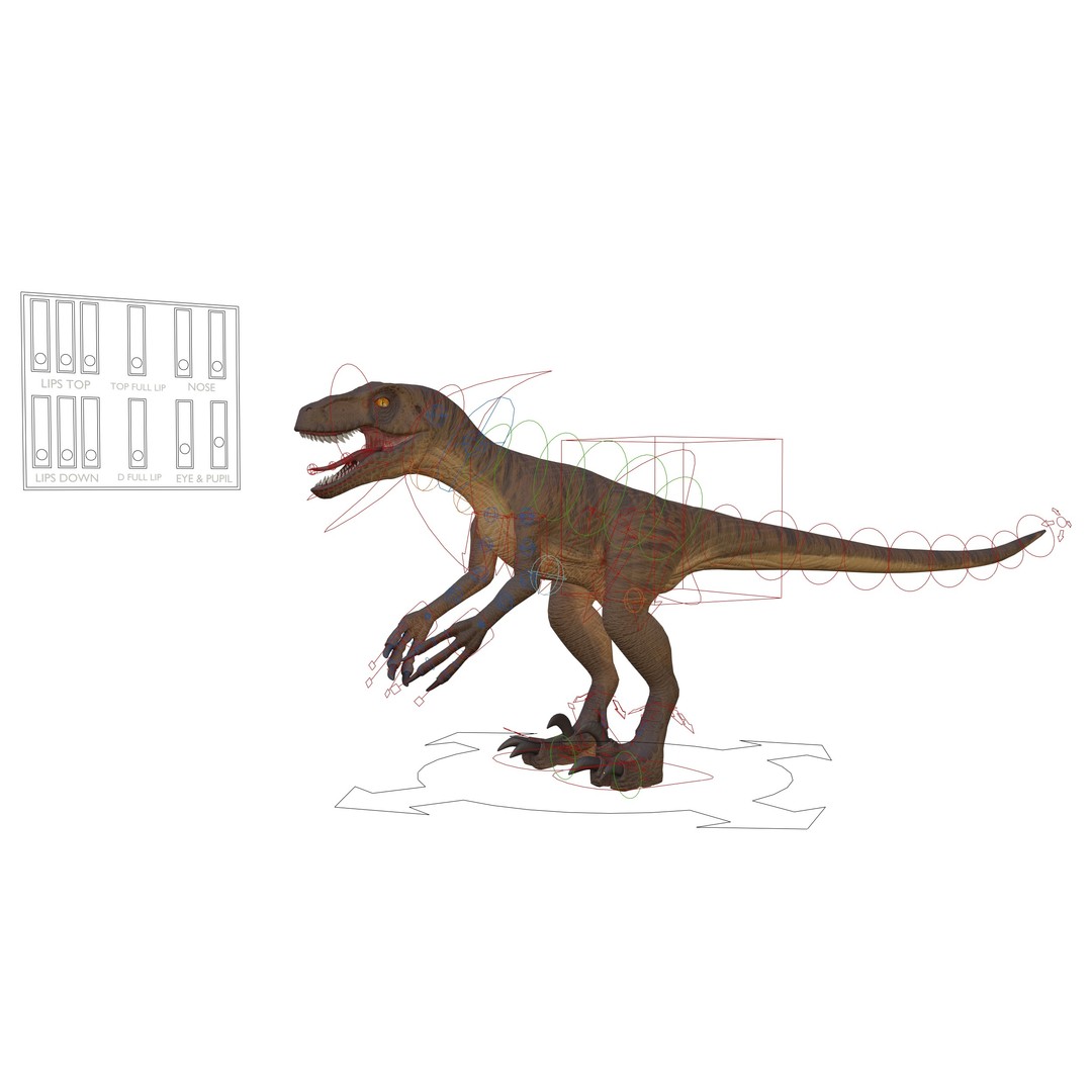 Velociraptor 3D Model – Low Poly Rigged Dinosaur Asset, FBX/OBJ - View 12