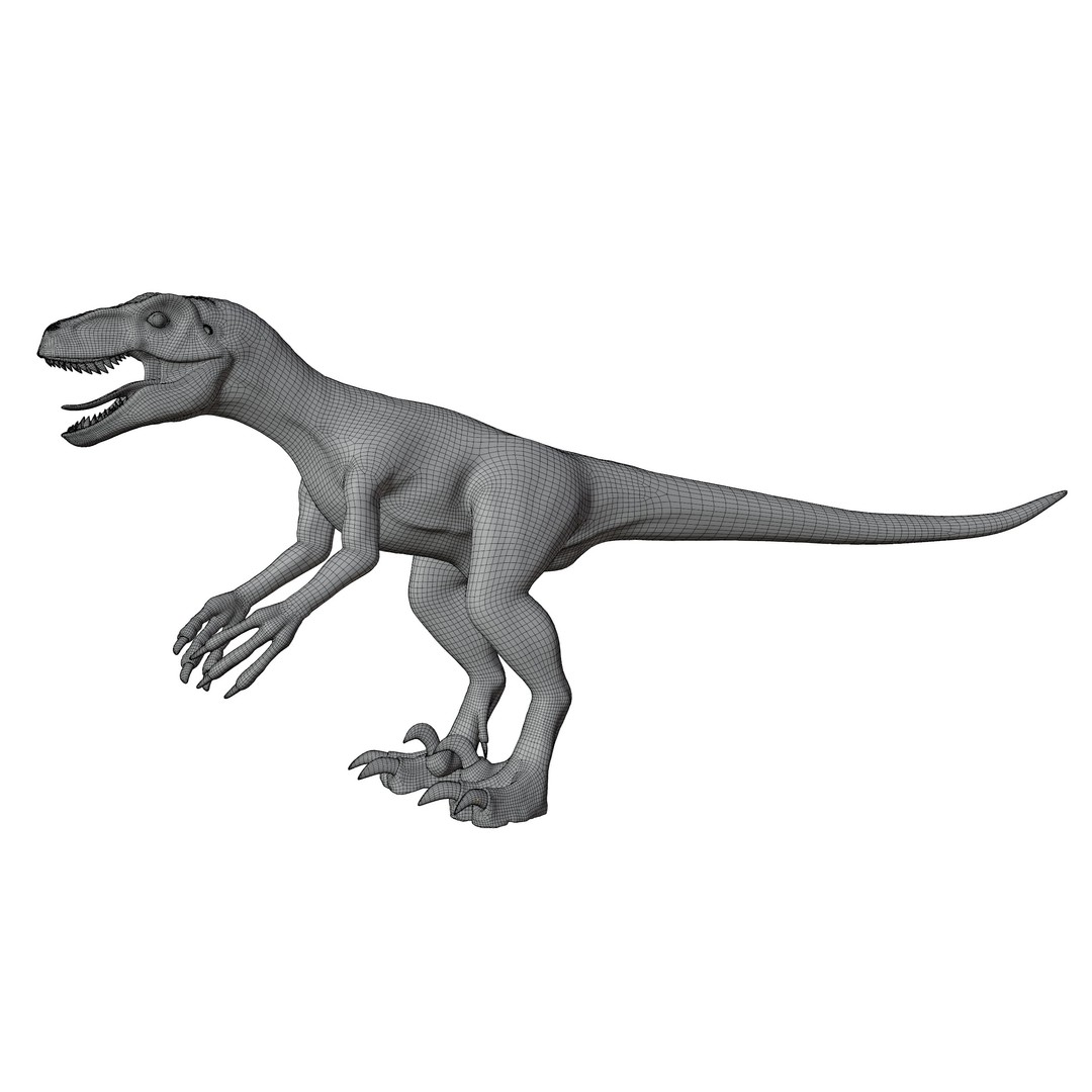 Velociraptor 3D Model – Low Poly Rigged Dinosaur Asset, FBX/OBJ - View 16