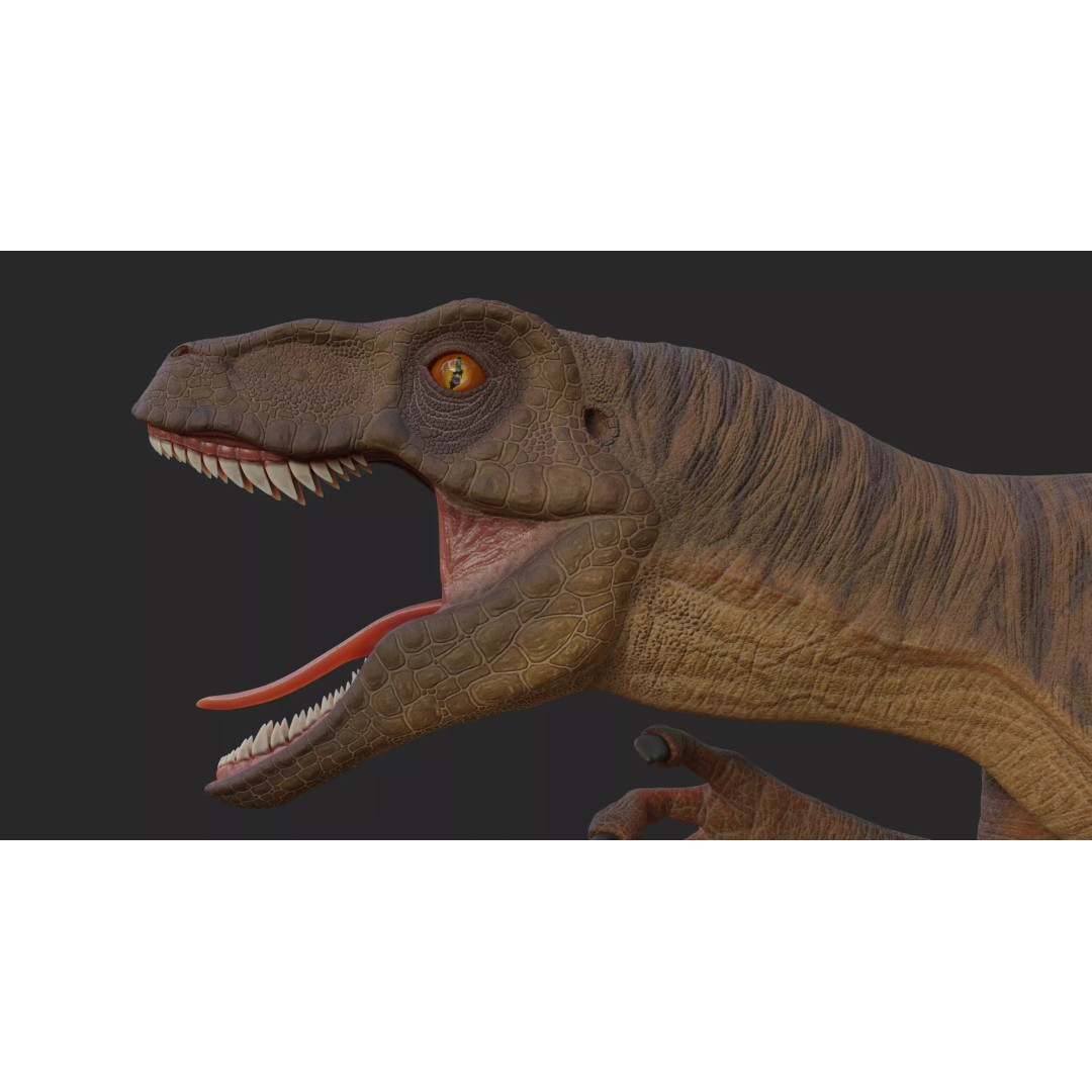 Velociraptor 3D Model – Low Poly Rigged Dinosaur Asset, FBX/OBJ - View 2