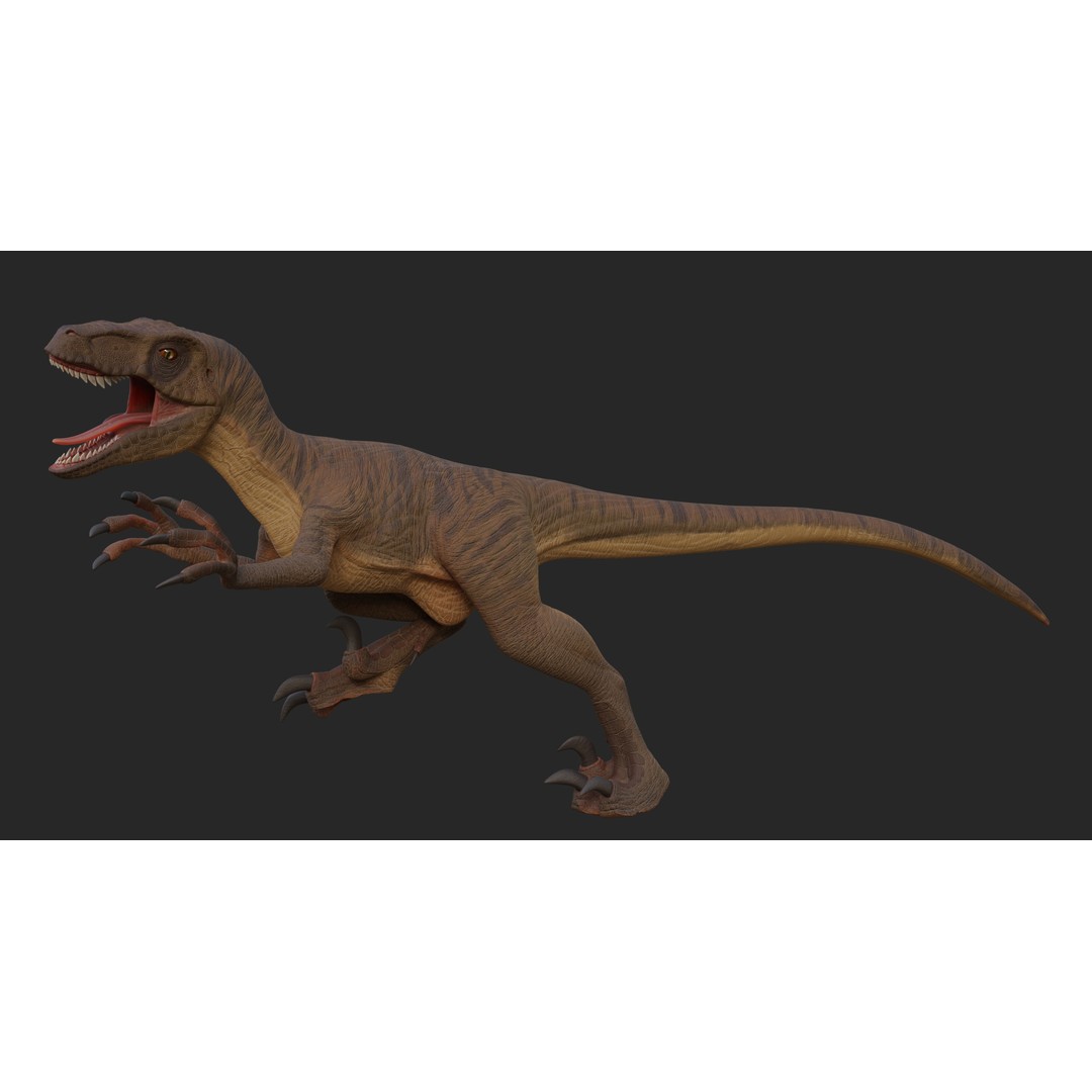 Velociraptor 3D Model – Low Poly Rigged Dinosaur Asset, FBX/OBJ - View 3