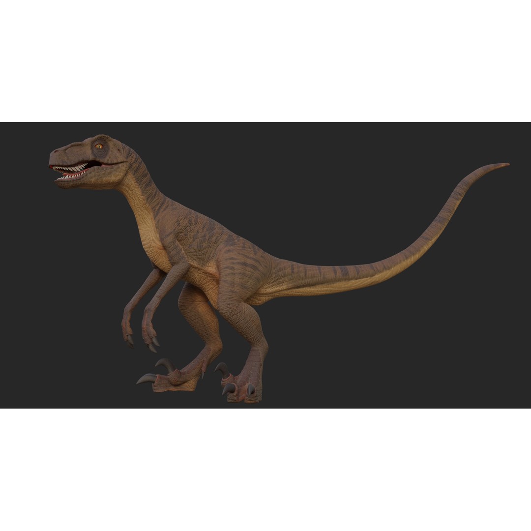 Velociraptor 3D Model – Low Poly Rigged Dinosaur Asset, FBX/OBJ - View 4