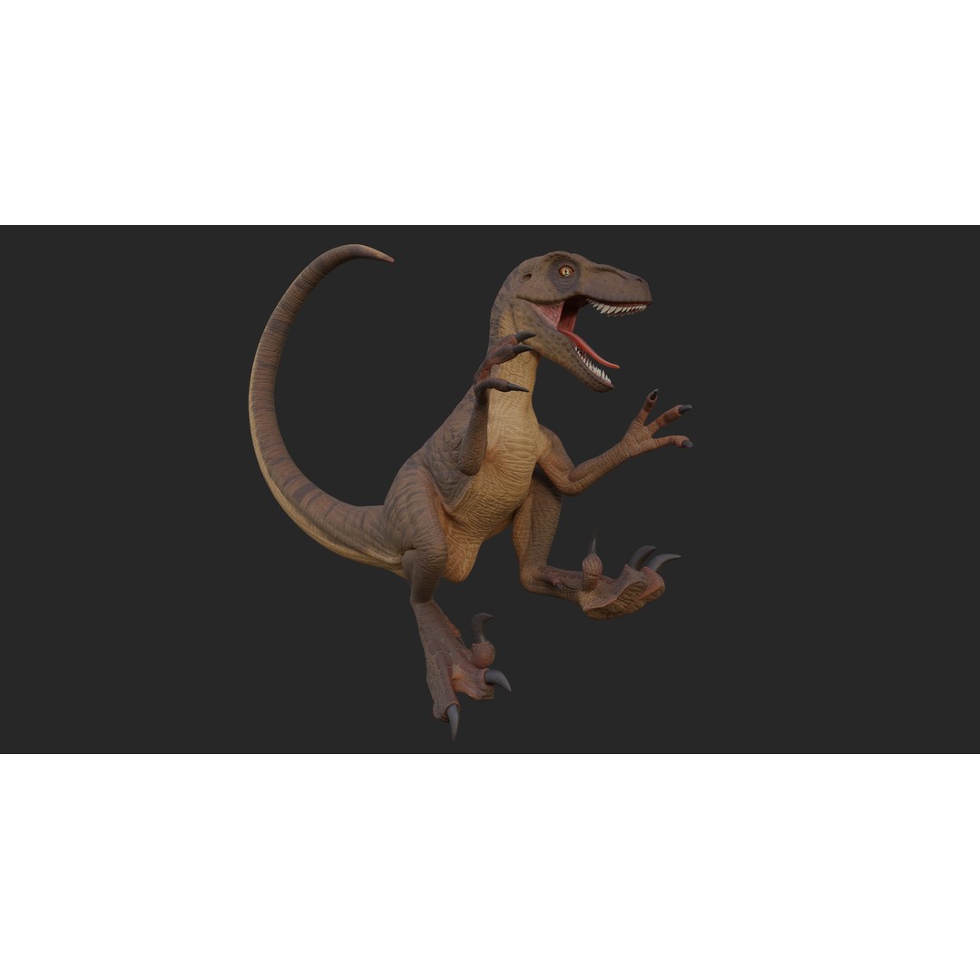 Velociraptor 3D Model – Low Poly Rigged Dinosaur Asset, FBX/OBJ - View 5