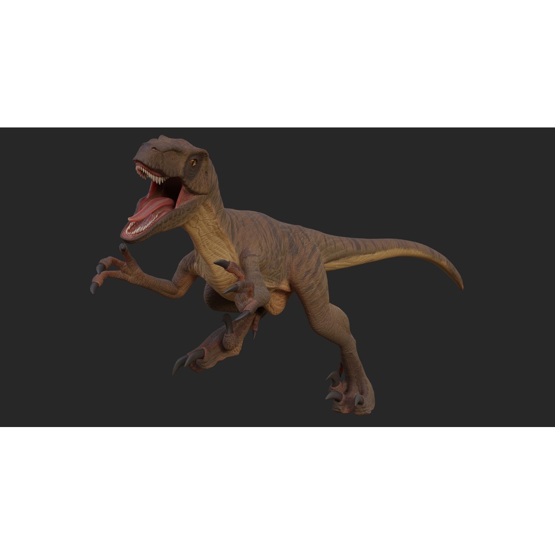 Velociraptor 3D Model – Low Poly Rigged Dinosaur Asset, FBX/OBJ - View 6