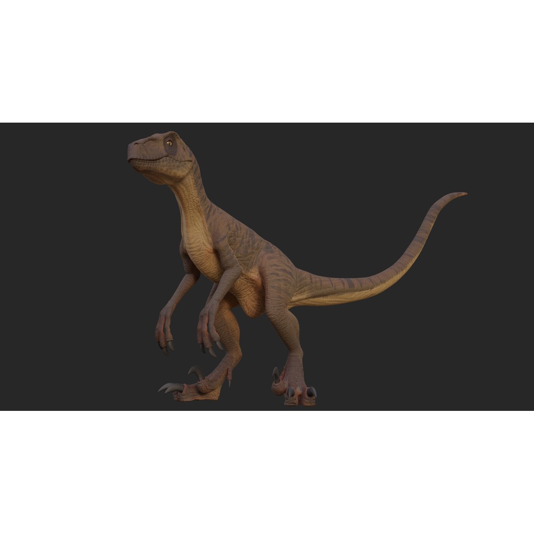 Velociraptor 3D Model – Low Poly Rigged Dinosaur Asset, FBX/OBJ - View 8