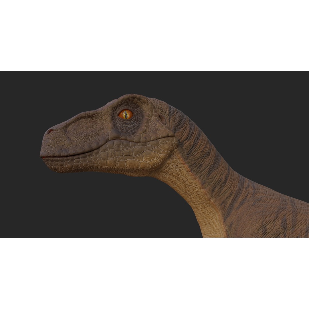Velociraptor 3D Model – Low Poly Rigged Dinosaur Asset, FBX/OBJ - View 9