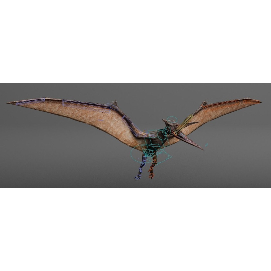Pteranodon 3D Model – Low Poly Rigged Dinosaur, FBX & Blender - View 4