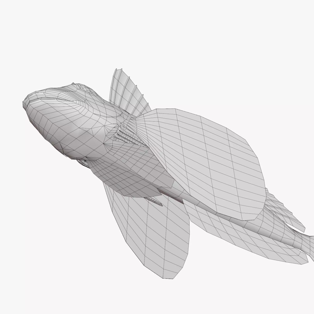 Bluefin Sea Robin 3D Model – Low Poly Game Asset, FBX & Blender - View 7