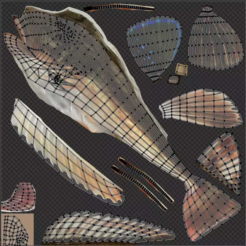 Bluefin Sea Robin 3D Model – Low Poly Game Asset, FBX & Blender - View 9