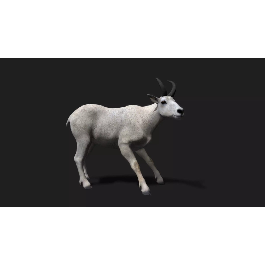 Mountain Goat 3D Model – Realistic Low-Poly Rigged Asset, FBX, Blender - View 2