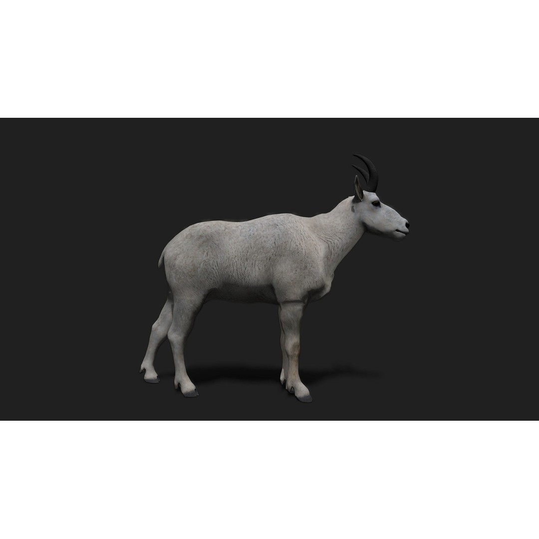 Mountain Goat 3D Model – Realistic Low-Poly Rigged Asset, FBX, Blender - View 5