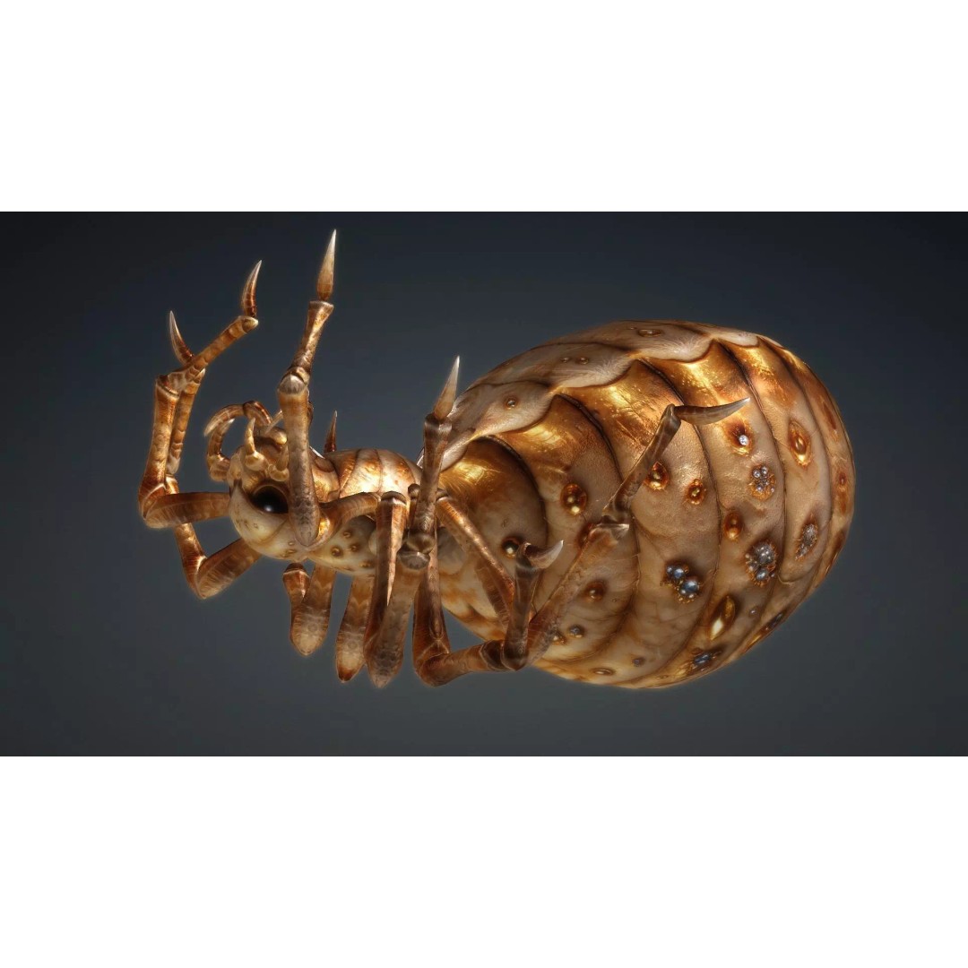 Spider 3D Model – Low Poly Animated Insect, FBX, PBR Textures - View 10