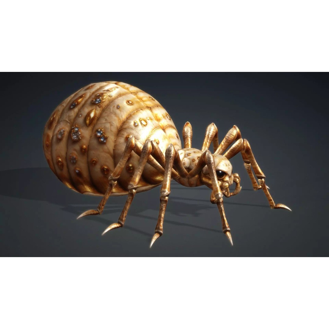 Spider 3D Model – Low Poly Animated Insect, FBX, PBR Textures - View 11