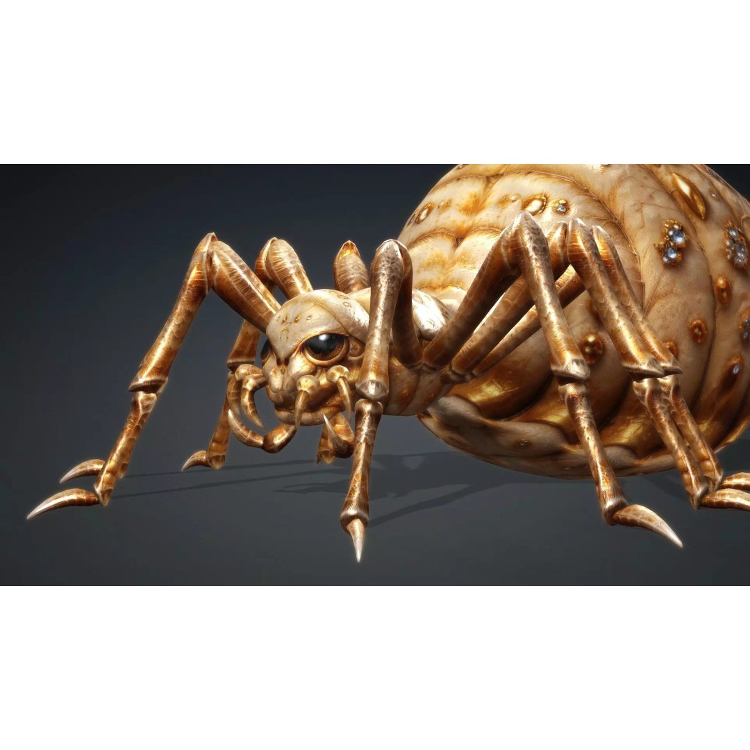 Spider 3D Model – Low Poly Animated Insect, FBX, PBR Textures - View 12