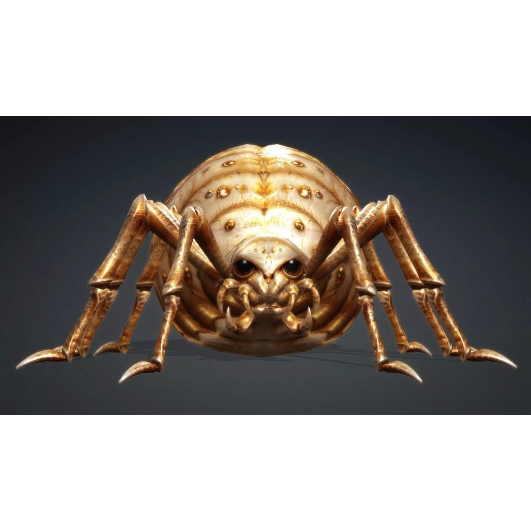 Spider 3D Model – Low Poly Animated Insect, FBX, PBR Textures - View 13
