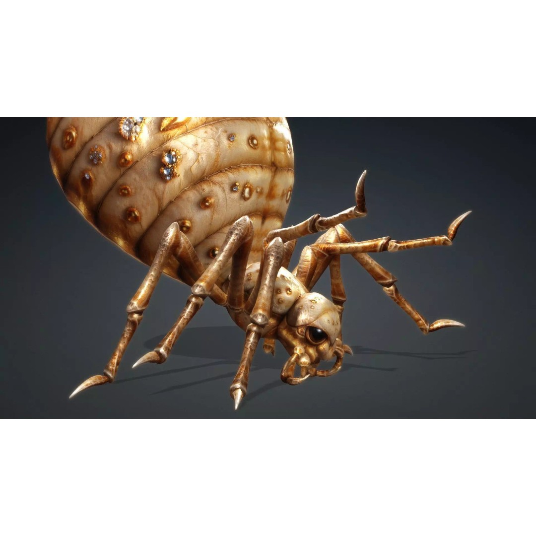 Spider 3D Model – Low Poly Animated Insect, FBX, PBR Textures - View 16