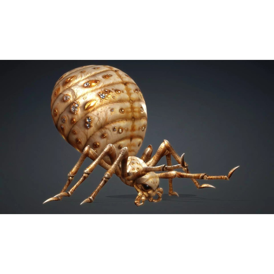 Spider 3D Model – Low Poly Animated Insect, FBX, PBR Textures - View 17