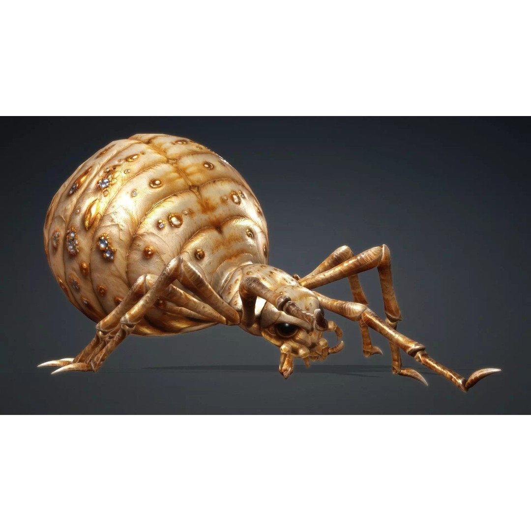 Spider 3D Model – Low Poly Animated Insect, FBX, PBR Textures - View 18