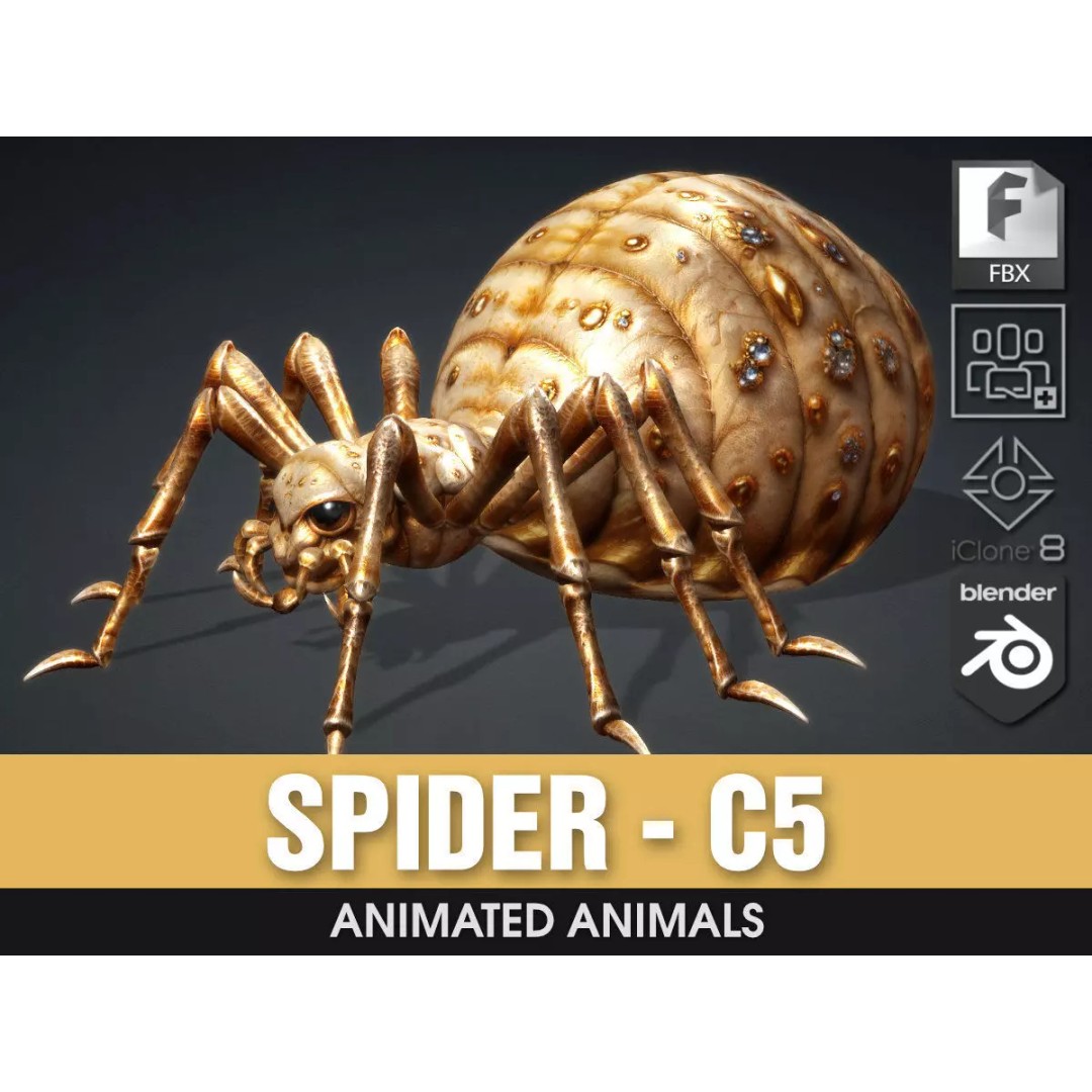 Spider 3D Model – Low Poly Animated Insect, FBX, PBR Textures - View 2