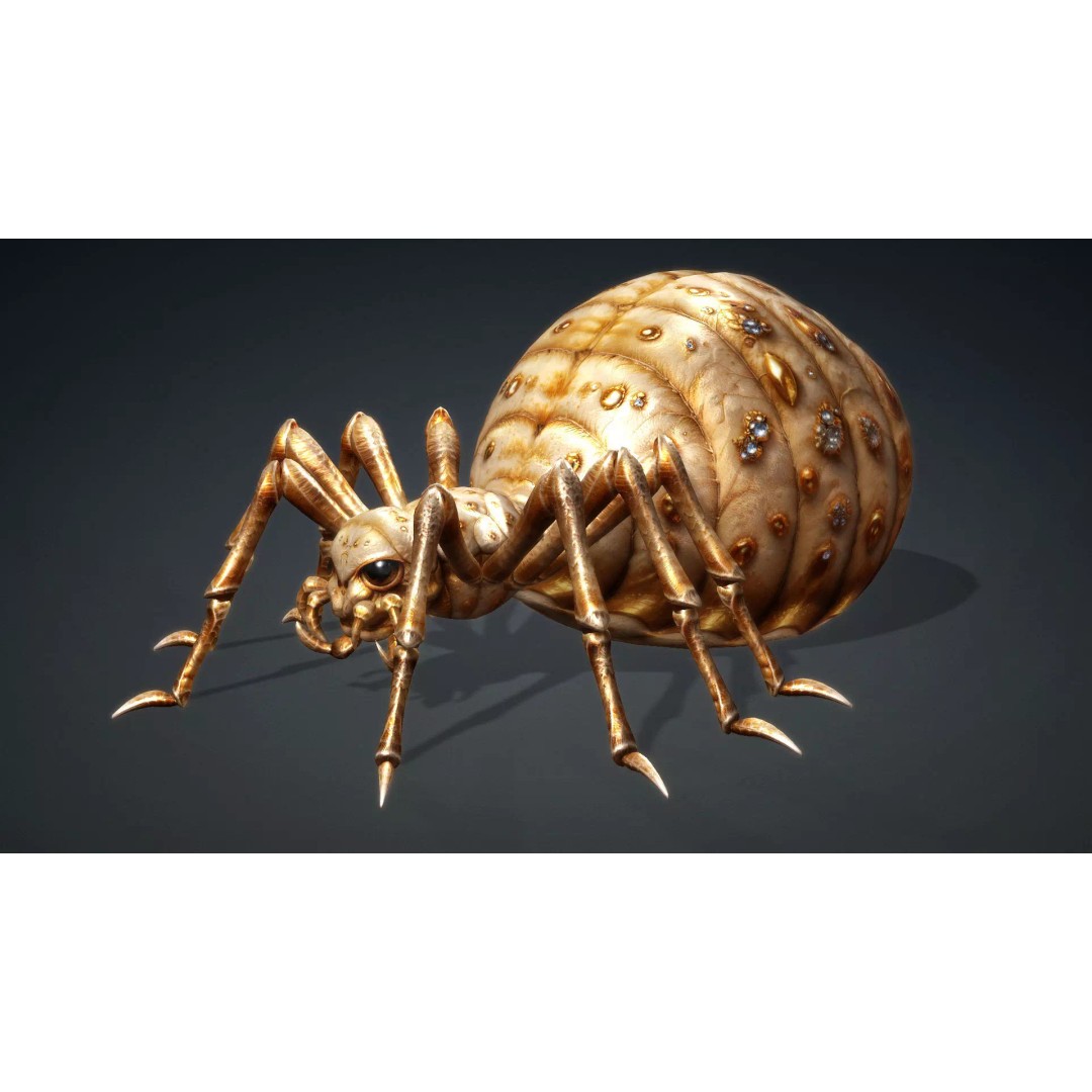 Spider 3D Model – Low Poly Animated Insect, FBX, PBR Textures - View 3