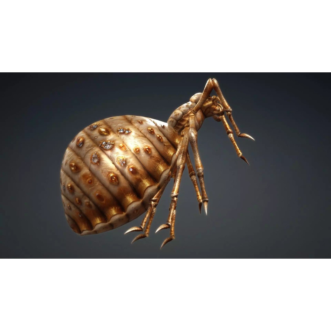 Spider 3D Model – Low Poly Animated Insect, FBX, PBR Textures - View 7