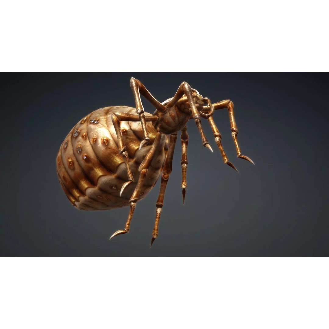 Spider 3D Model – Low Poly Animated Insect, FBX, PBR Textures - View 8