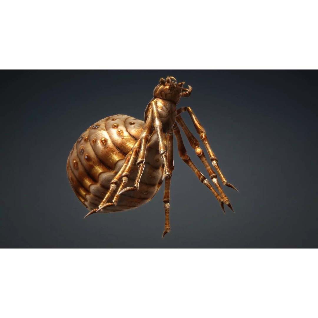 Spider 3D Model – Low Poly Animated Insect, FBX, PBR Textures - View 9