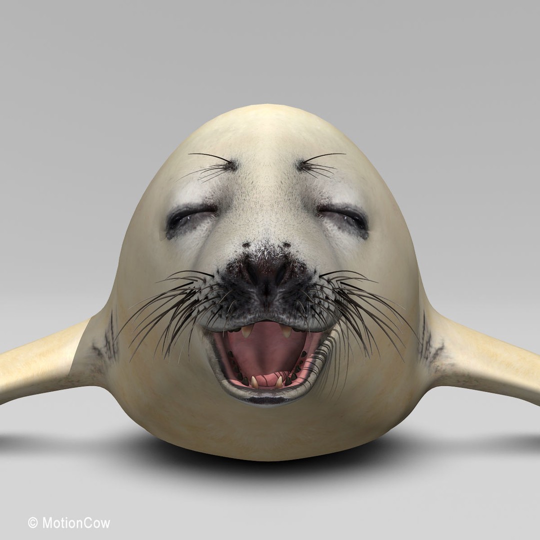 Harp Seal Pup 3D Model – Realistic Rigged Character, FBX - View 11