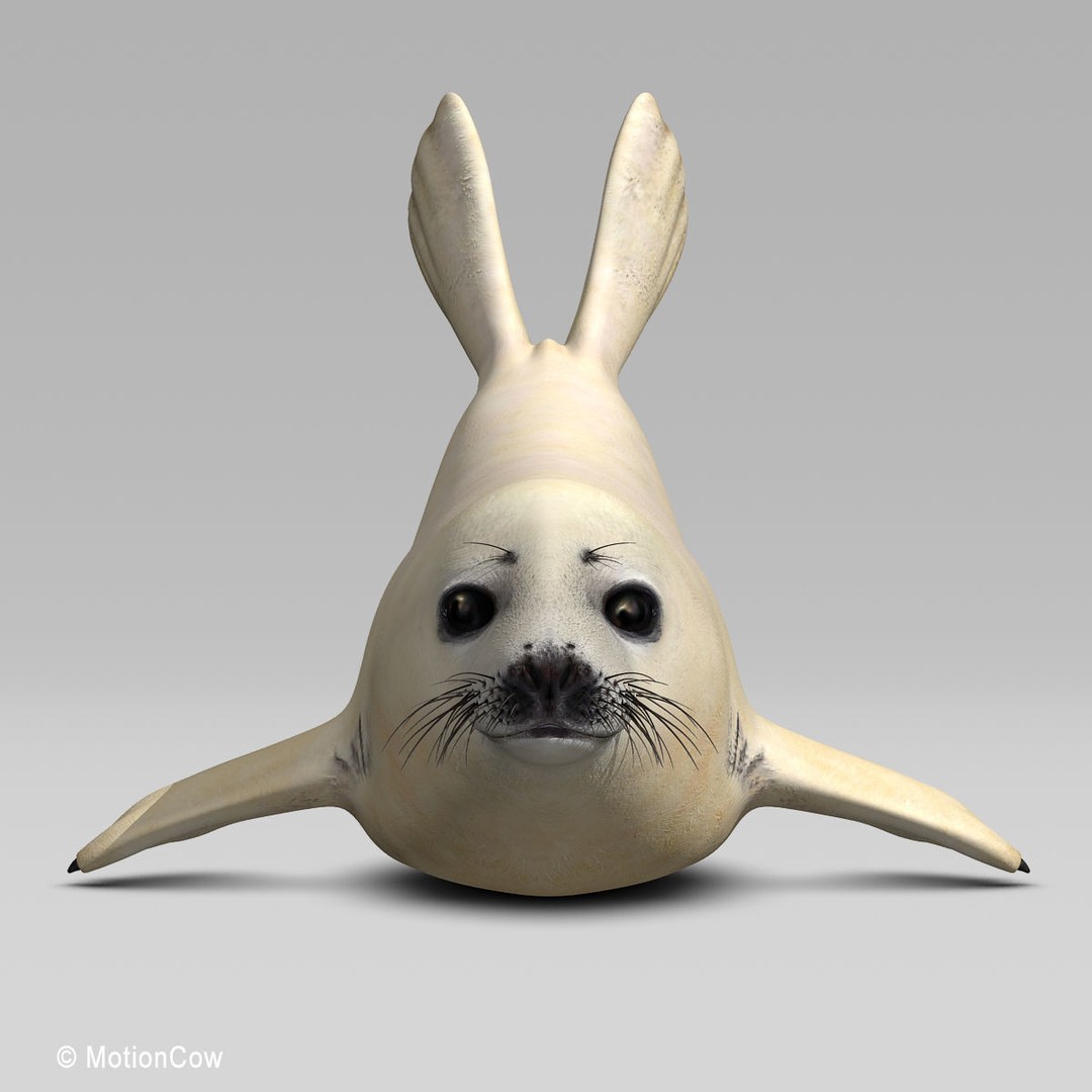 Harp Seal Pup 3D Model – Realistic Rigged Character, FBX - View 20