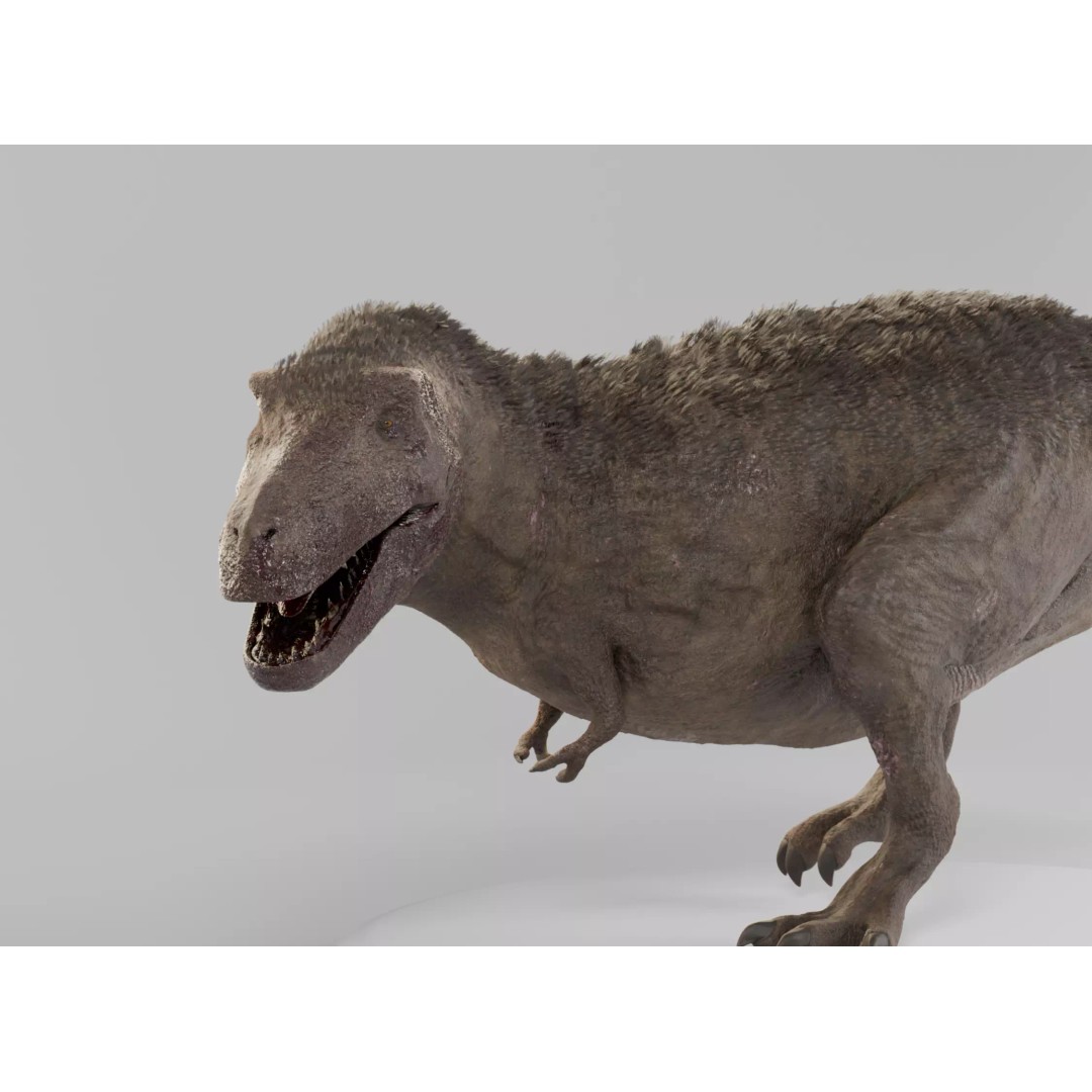Tyrannosaurus Rex 3D Model – Low Poly Rigged Dinosaur, Blender - View 11