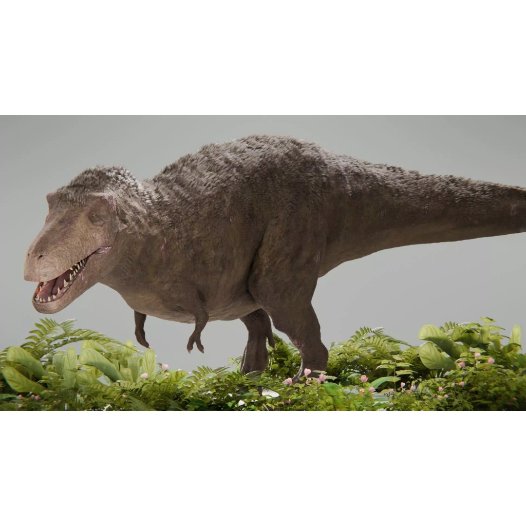 Tyrannosaurus Rex 3D Model – Low Poly Rigged Dinosaur, Blender - View 12