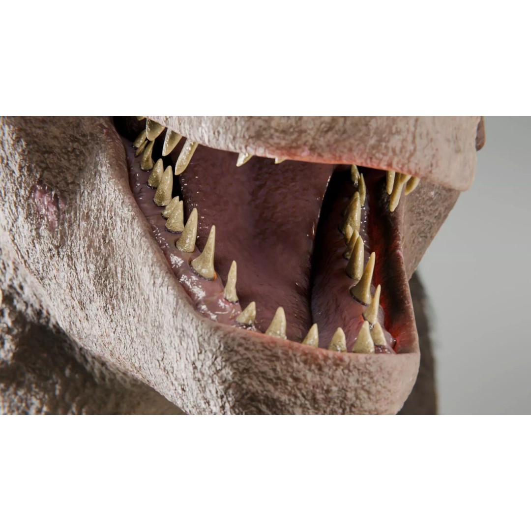 Tyrannosaurus Rex 3D Model – Low Poly Rigged Dinosaur, Blender - View 13