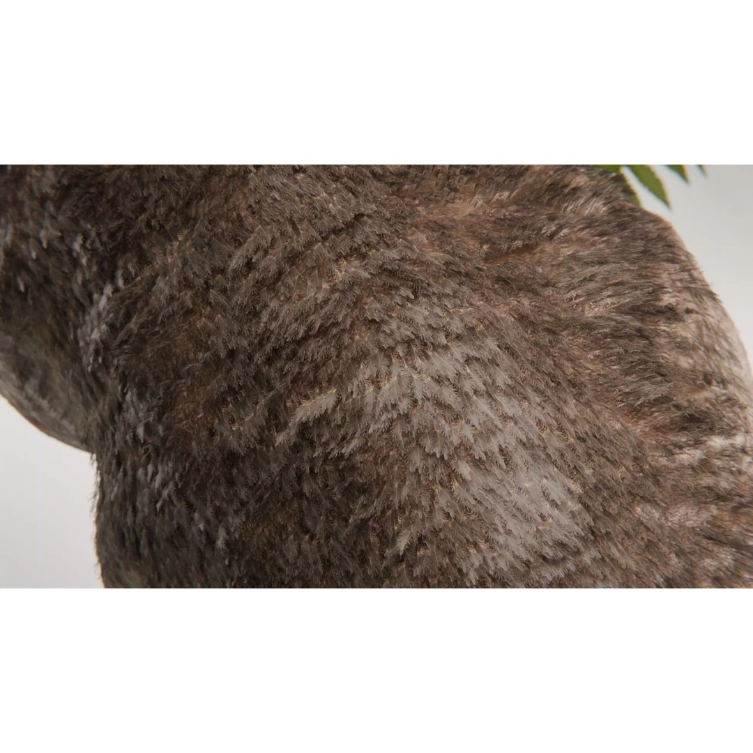 Tyrannosaurus Rex 3D Model – Low Poly Rigged Dinosaur, Blender - View 14