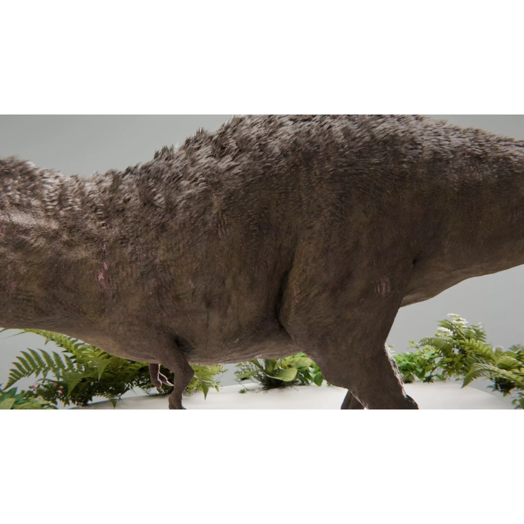 Tyrannosaurus Rex 3D Model – Low Poly Rigged Dinosaur, Blender - View 15