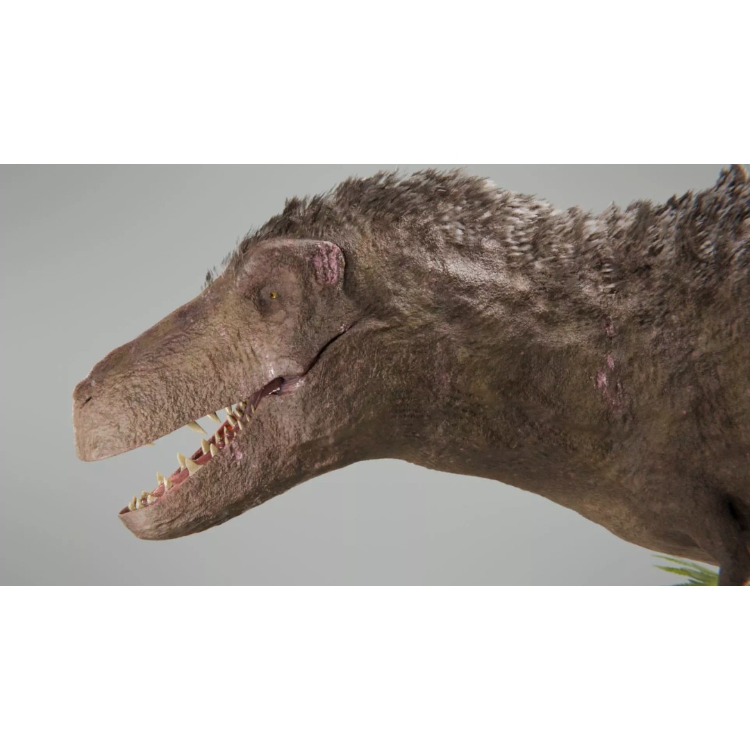 Tyrannosaurus Rex 3D Model – Low Poly Rigged Dinosaur, Blender - View 16