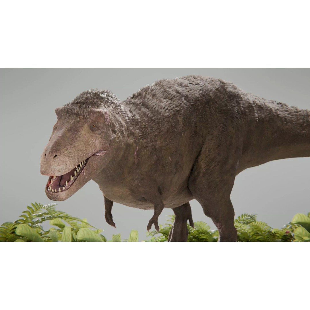 Tyrannosaurus Rex 3D Model – Low Poly Rigged Dinosaur, Blender - View 18