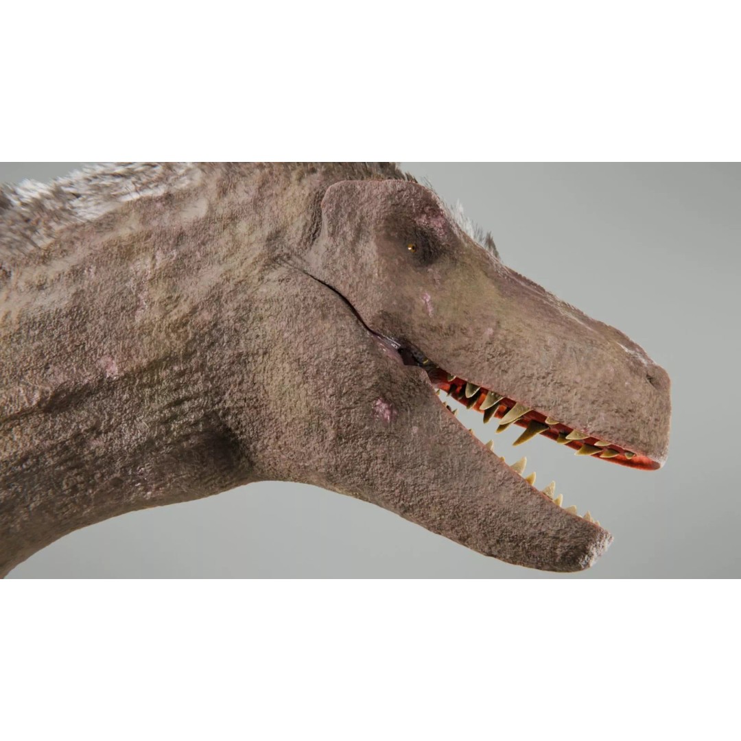 Tyrannosaurus Rex 3D Model – Low Poly Rigged Dinosaur, Blender - View 19