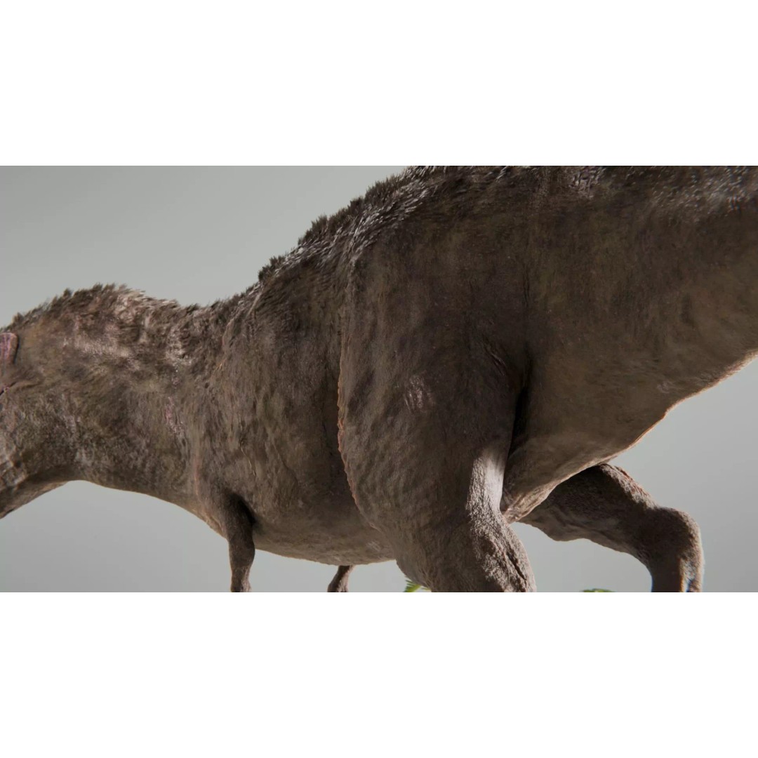Tyrannosaurus Rex 3D Model – Low Poly Rigged Dinosaur, Blender - View 20