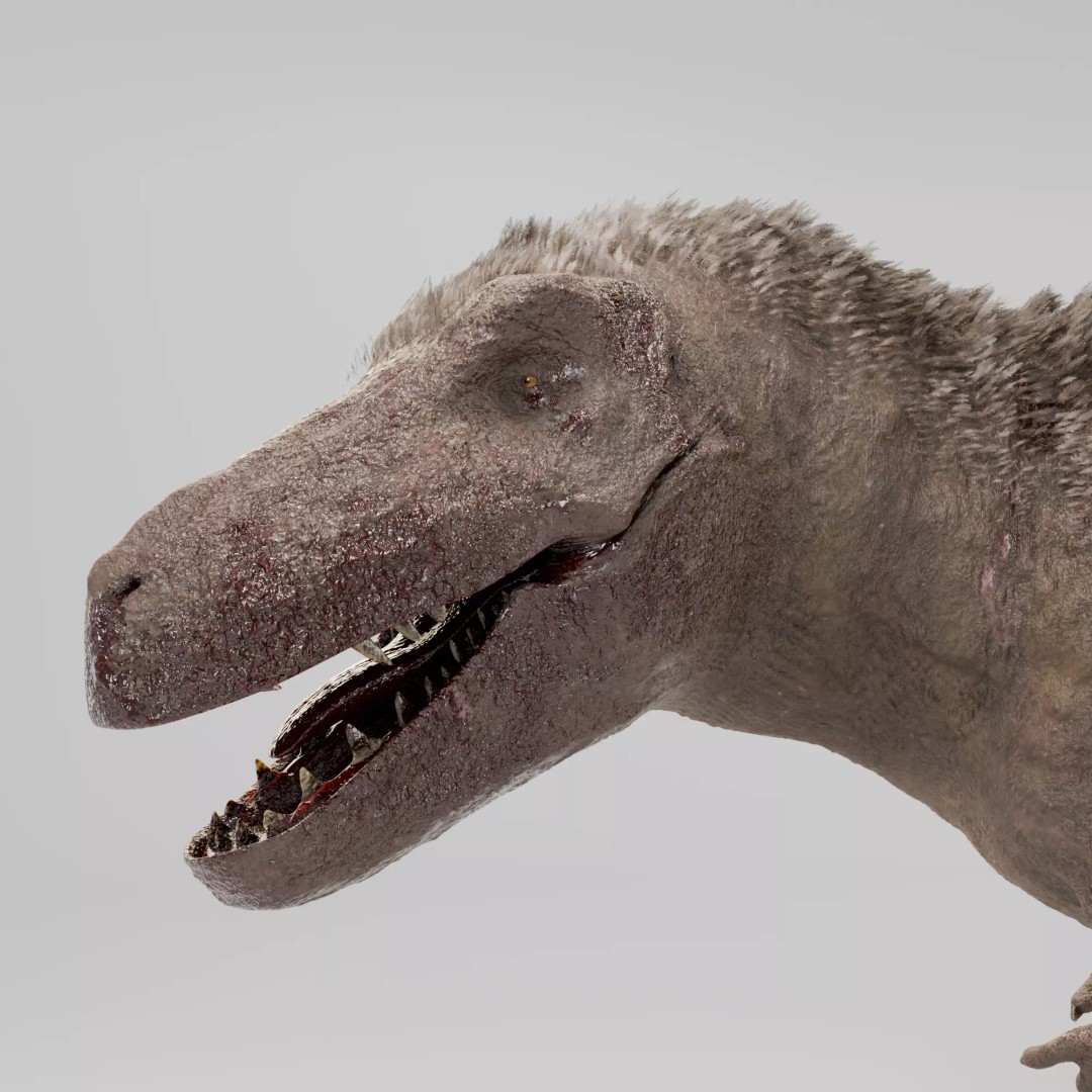Tyrannosaurus Rex 3D Model – Low Poly Rigged Dinosaur, Blender - View 21