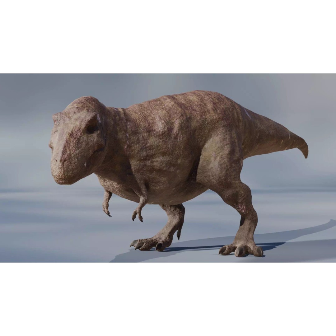 Tyrannosaurus Rex 3D Model – Low Poly Rigged Dinosaur, Blender - View 6